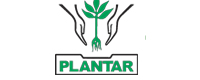 plantar.jpg